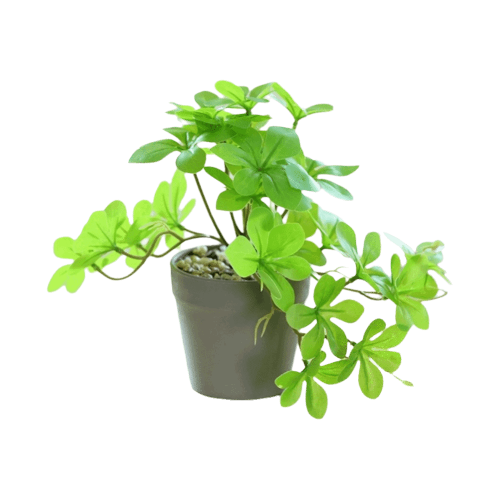 Spider Plant Hanging - Bonsai Artificial Bonsai Plant Artificial Spider