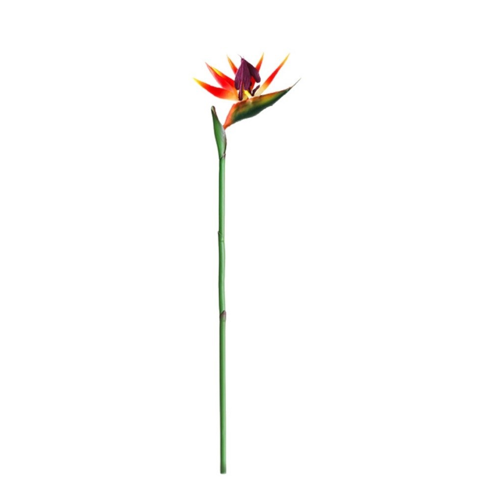 New Long Stem Artificial Bird  - Bird Paradise Strelitzia บทวิจารณ์และราคา