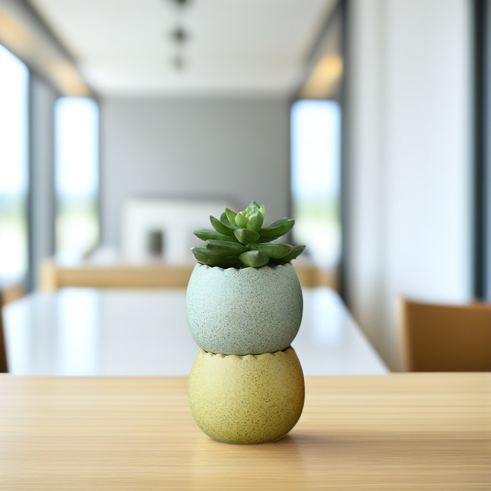 6Pcs Stylish Ceramic Mini Pots - Aloe Vera Pot บทวิจารณ์และราคา
