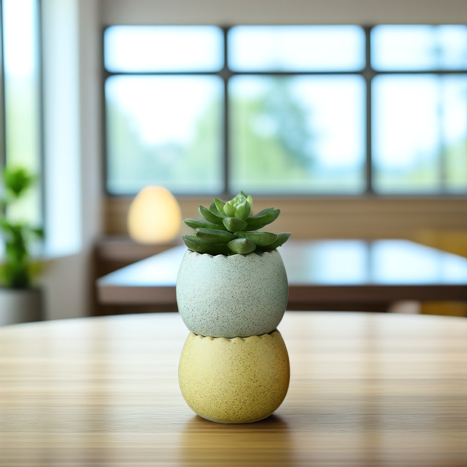6Pcs Stylish Ceramic Mini Pots - Aloe Vera Pot บทวิจารณ์และราคา