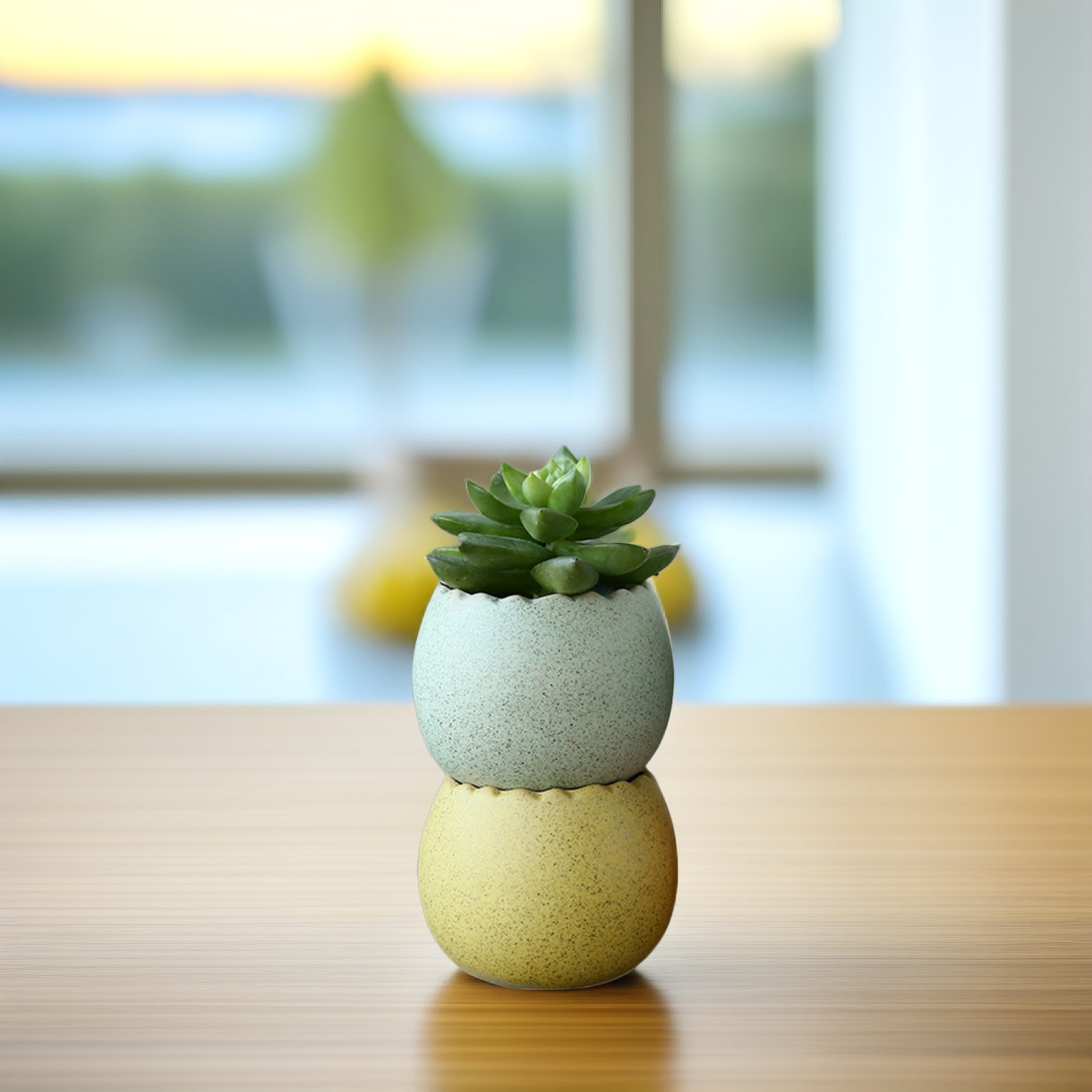 6Pcs Stylish Ceramic Mini Pots - Aloe Vera Pot บทวิจารณ์และราคา