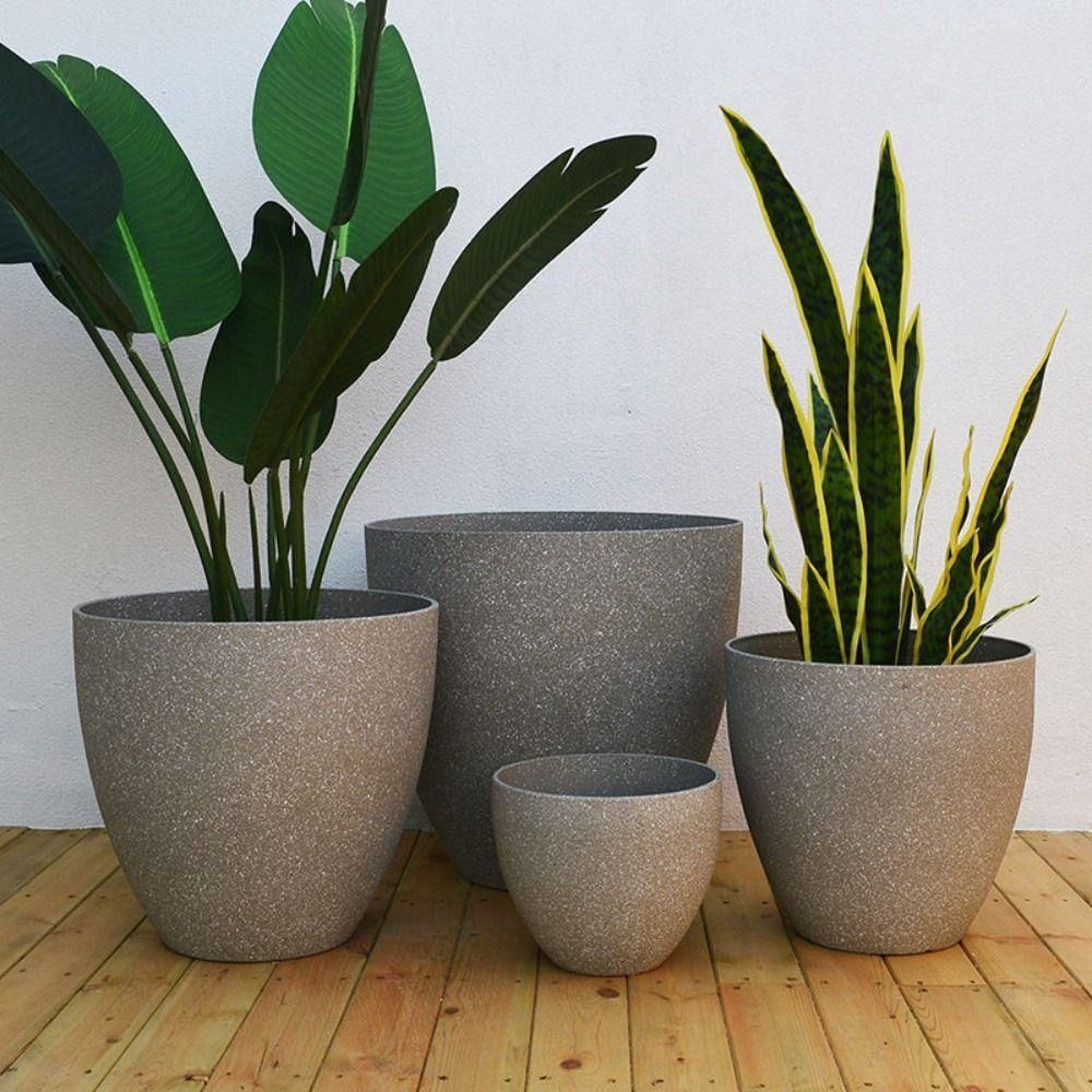 Frosted Imitation Stone Bonsai - Aloe Vera Pot บทวิจารณ์และราคา