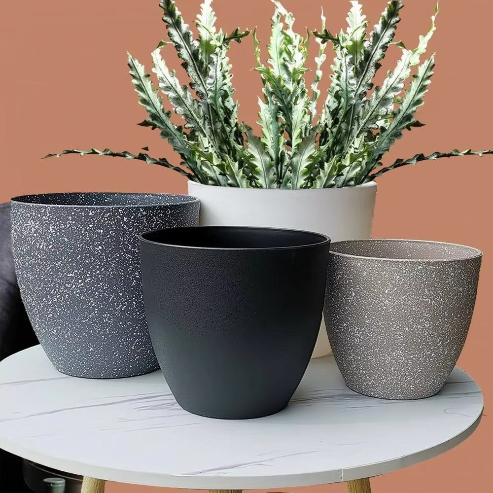 Frosted Imitation Stone Bonsai - Aloe Vera Pot บทวิจารณ์และราคา
