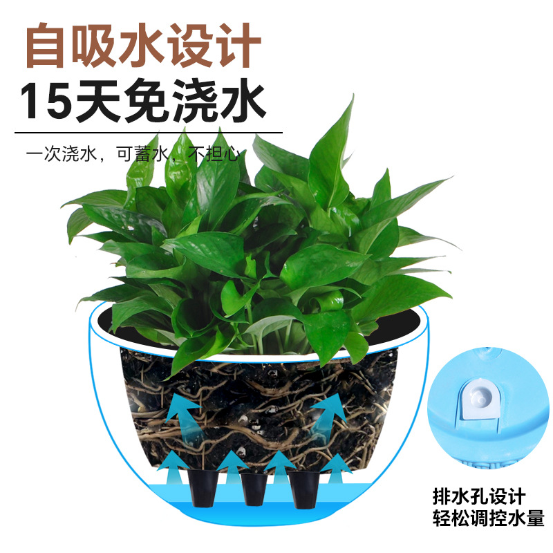 New simple imitation rattan wo - Spider Plant Hanging บทวิจารณ์และราคา