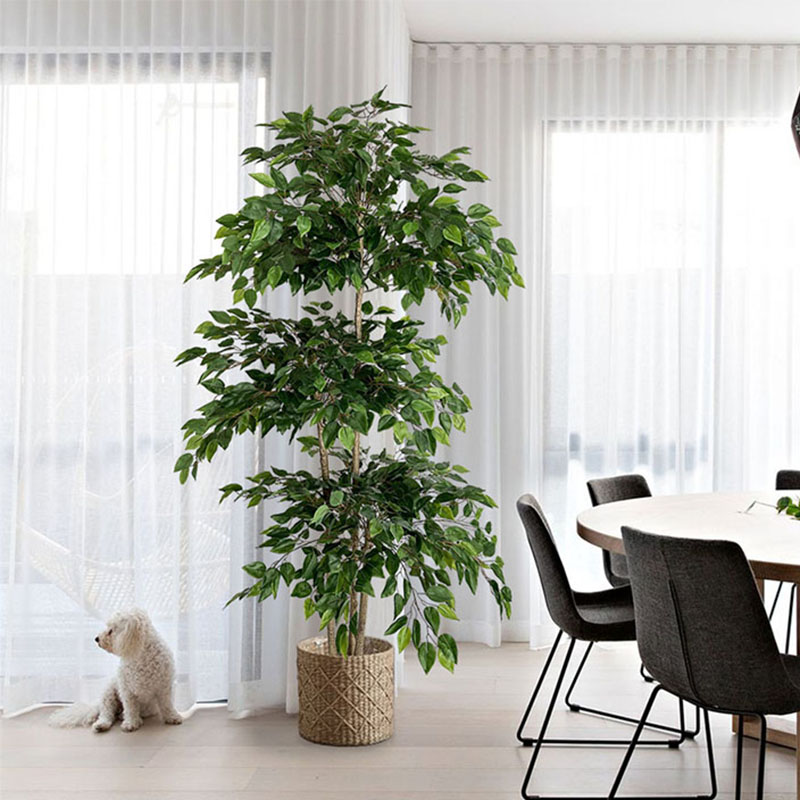 70in Ficus Artificial Tree Lar - Ficus Lyrata Tree บทวิจารณ์และราคา