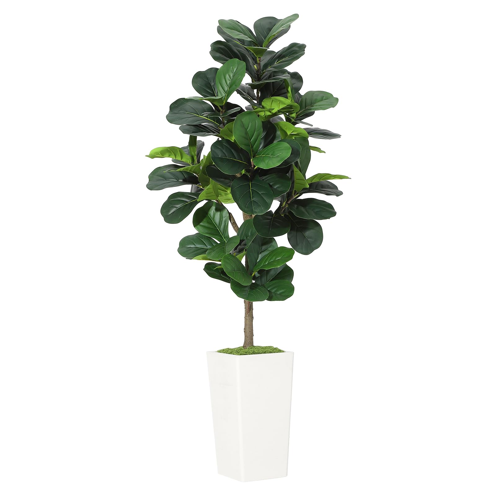 Artificial Fiddle Leaf Fig Tre - Ficus Lyrata Tree บทวิจารณ์และราคา