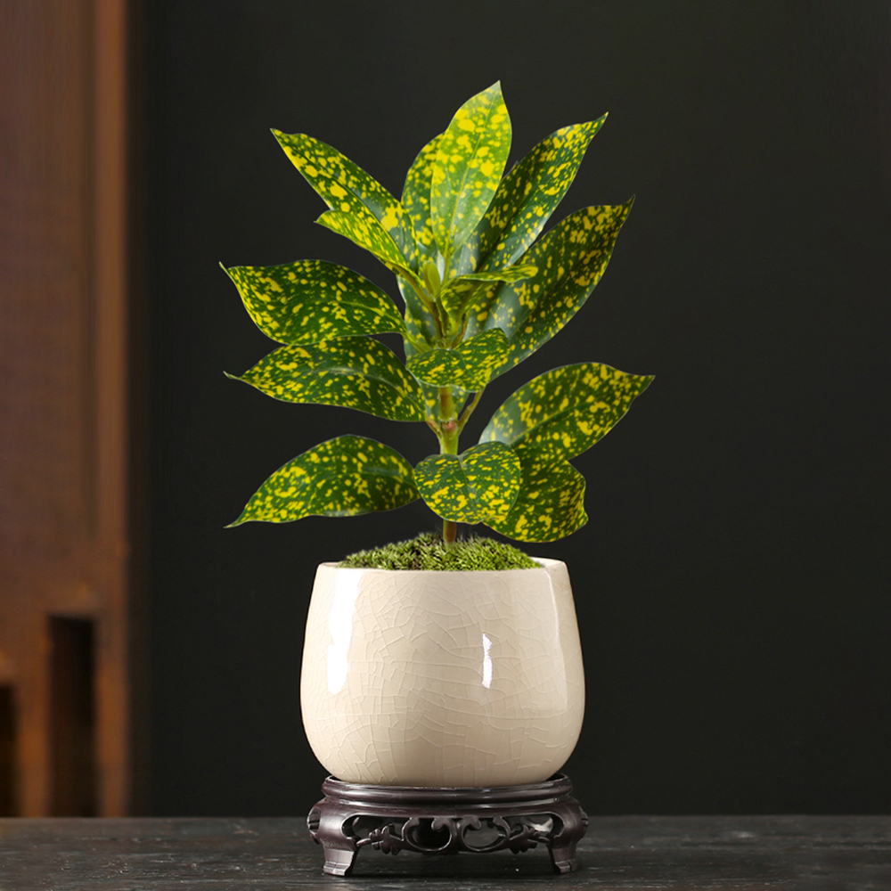24-41cm Artificial Ficus Tree  - Ficus Lyrata Tree บทวิจารณ์และราคา