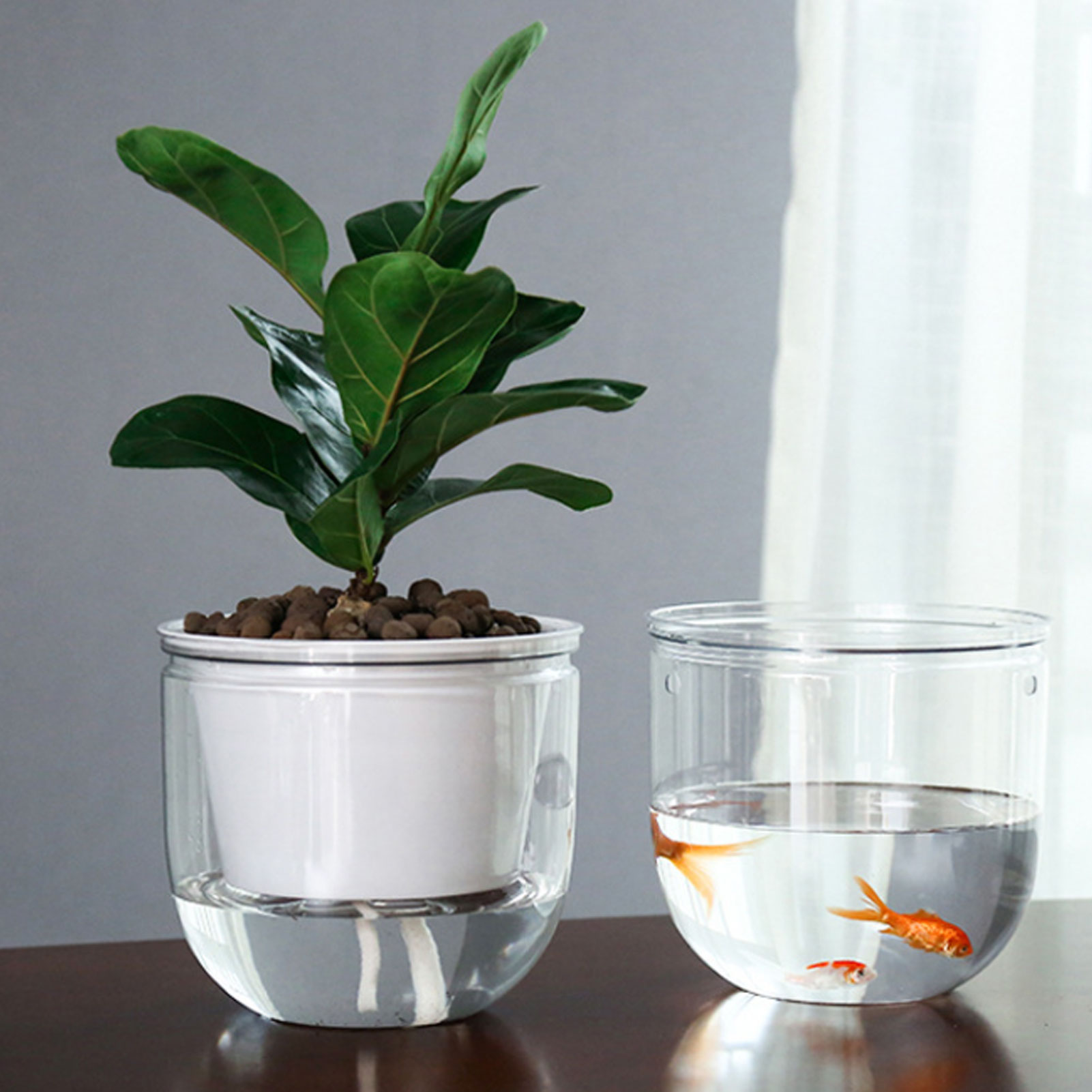 Automatic Self Watering Plant  - Spider Plant Hanging บทวิจารณ์และราคา