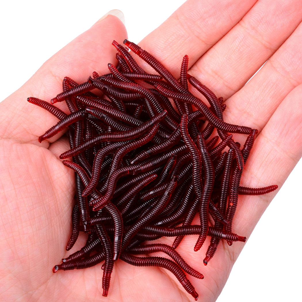 50pcs Lifelike Red Worm Soft L - Aglaonema Red บทวิจารณ์และราคา