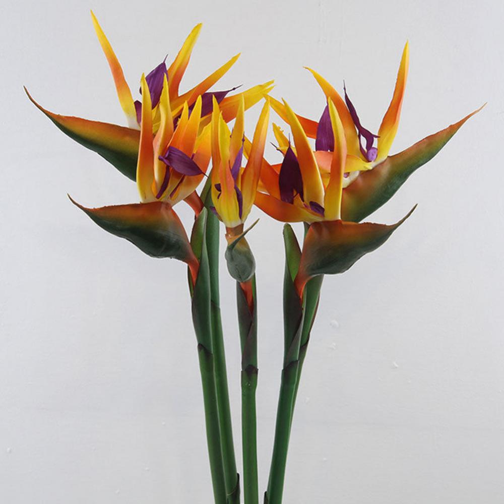1pc 80cm Flower Bird Of Paradi - Bird Paradise Strelitzia บทวิจารณ์และราคา