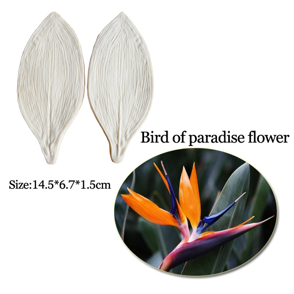 Large Gumpaste Strelitzia Bird - Bird Paradise Strelitzia บทวิจารณ์และราคา