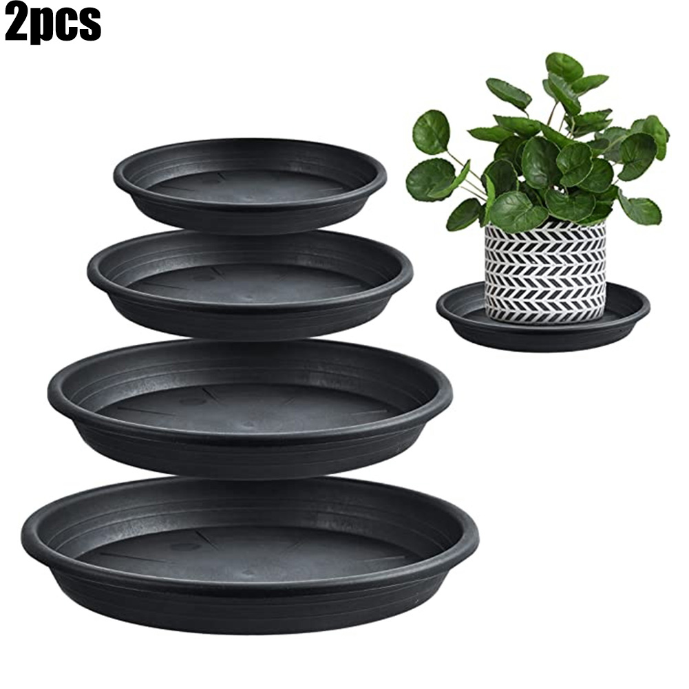2pcs Plant Trays Round Succule - Echeveria Succulent บทวิจารณ์และราคา
