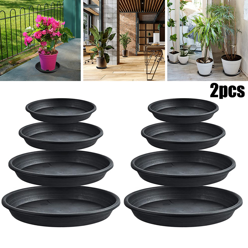 2pcs Plant Trays Round Succule - Echeveria Succulent บทวิจารณ์และราคา