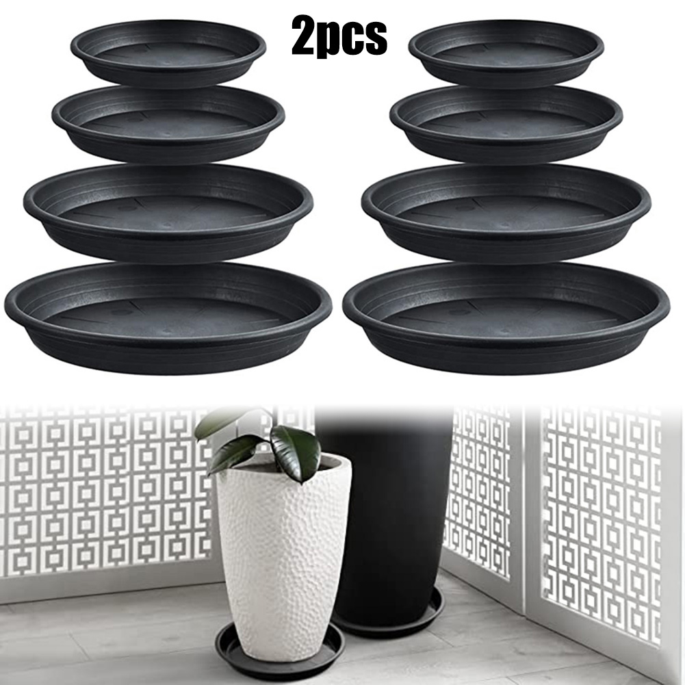 2pcs Plant Trays Round Succule - Echeveria Succulent บทวิจารณ์และราคา