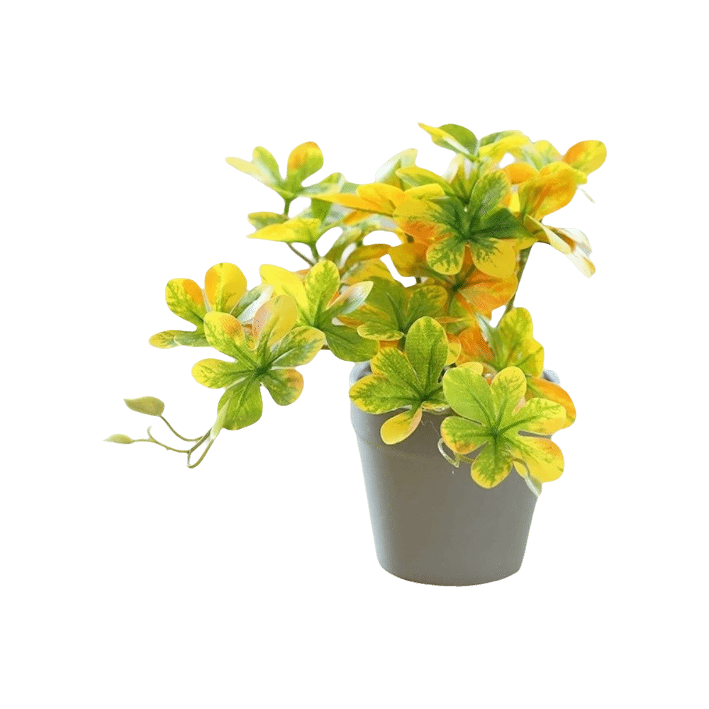 Bonsai Artificial Bonsai Plant - Spider Plant Hanging บทวิจารณ์และราคา