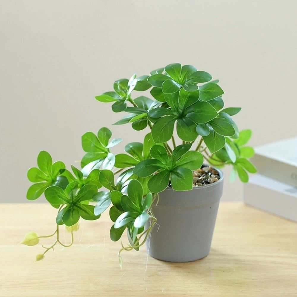 Bonsai Artificial Bonsai Plant - Spider Plant Hanging บทวิจารณ์และราคา