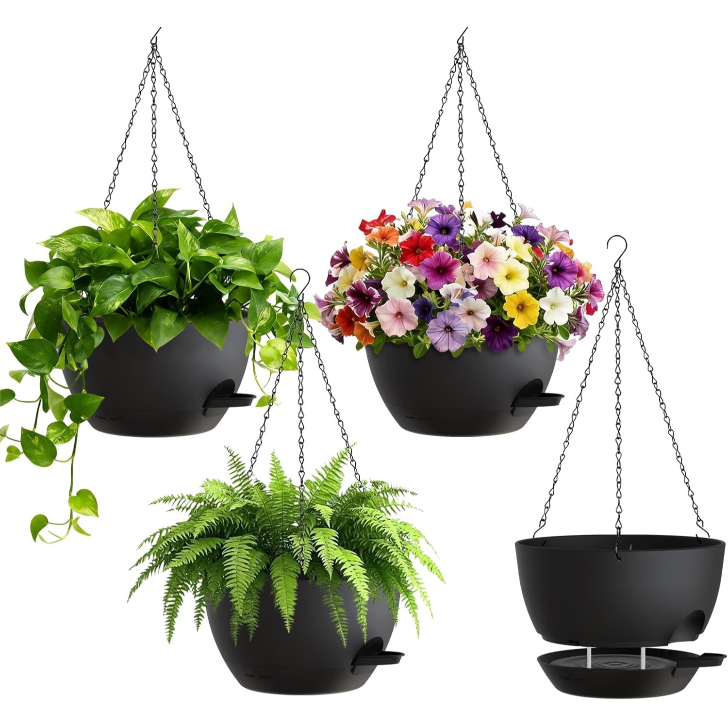 8 Inch Self Watering Hanging P - Spider Plant Hanging บทวิจารณ์และราคา
