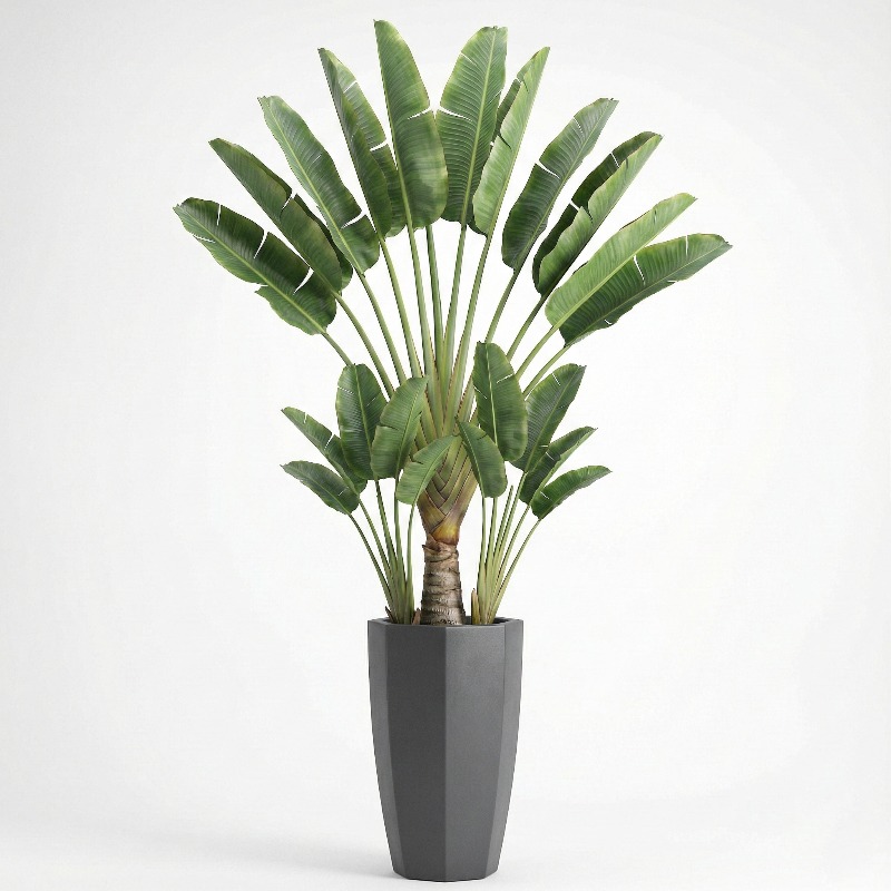 High-Simulation Plastic Fiddle - Ficus Lyrata Tree บทวิจารณ์และราคา
