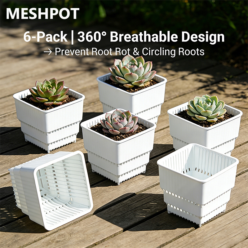 MESHPOT 6-Pack Square Pots for - Echeveria Succulent บทวิจารณ์และราคา