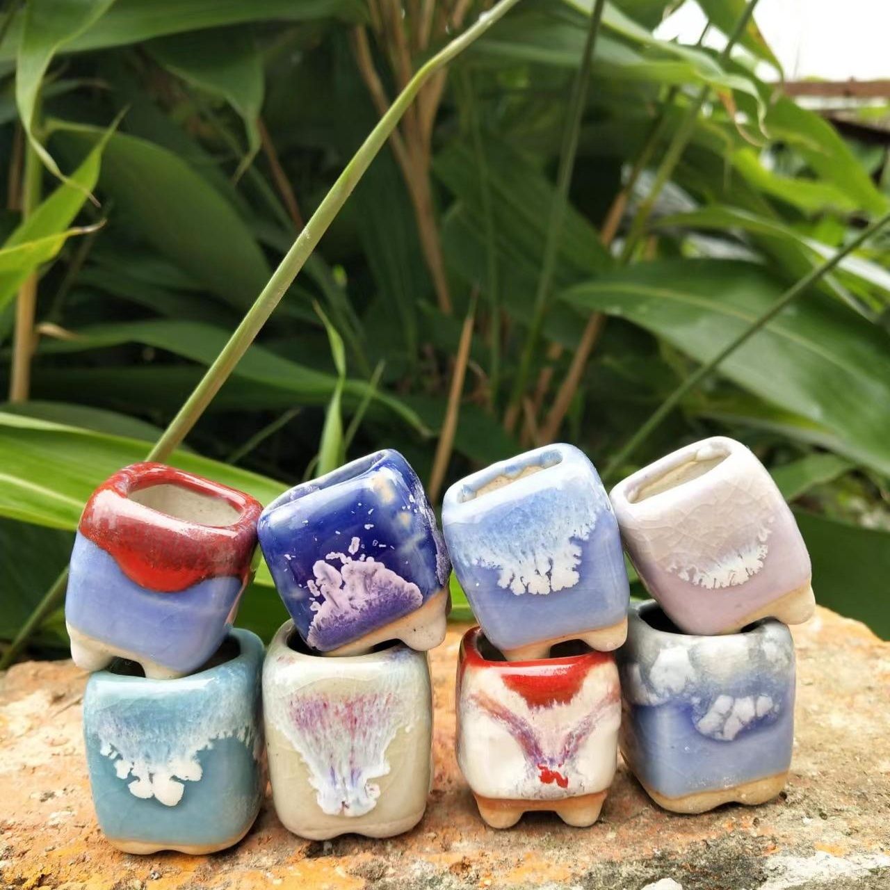 10Pcs Mini Ceramics Fowerpot M - Echeveria Succulent บทวิจารณ์และราคา