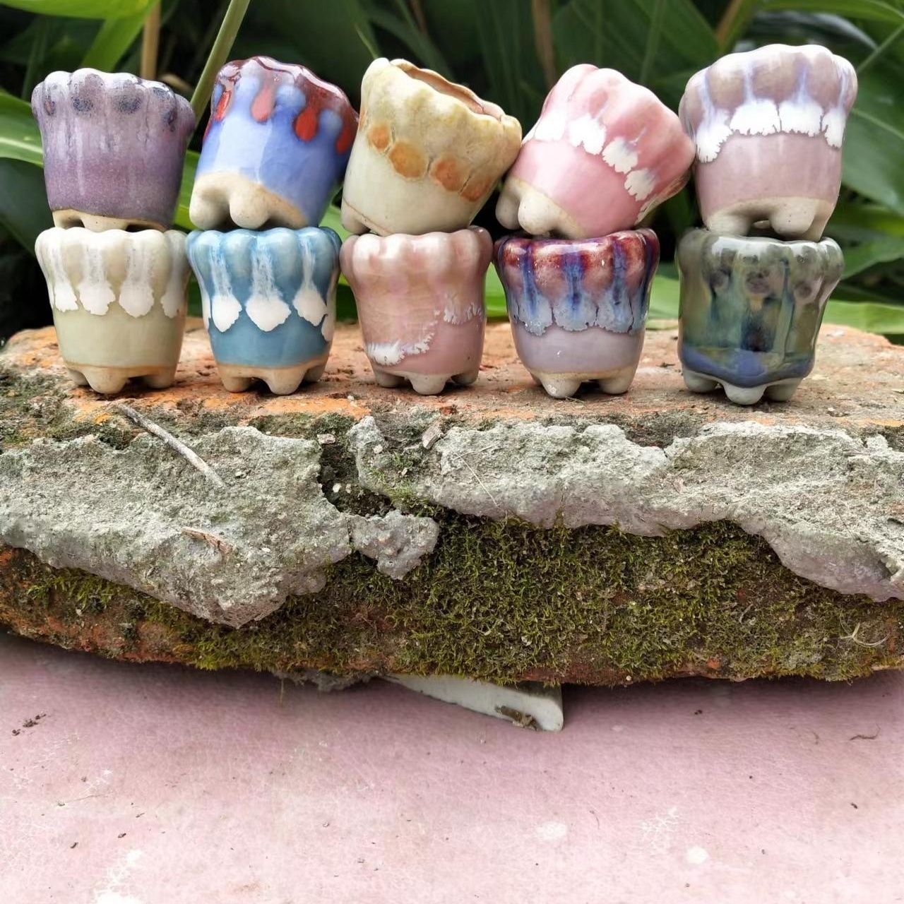 10Pcs Mini Ceramics Fowerpot M - Echeveria Succulent บทวิจารณ์และราคา