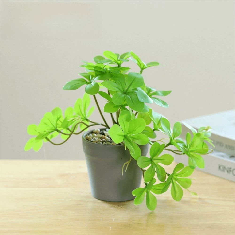 Bonsai Artificial Bonsai Plant - Spider Plant Hanging บทวิจารณ์และราคา