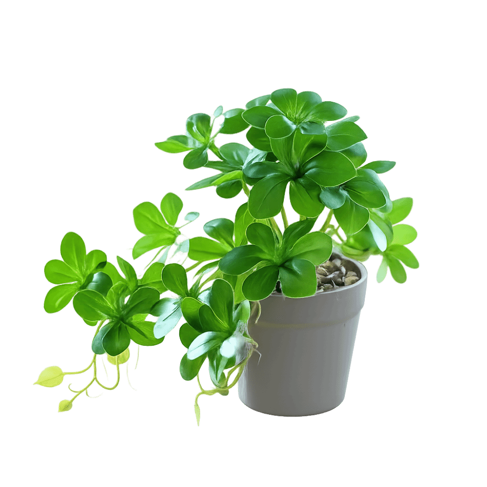 Bonsai Artificial Bonsai Plant - Spider Plant Hanging บทวิจารณ์และราคา