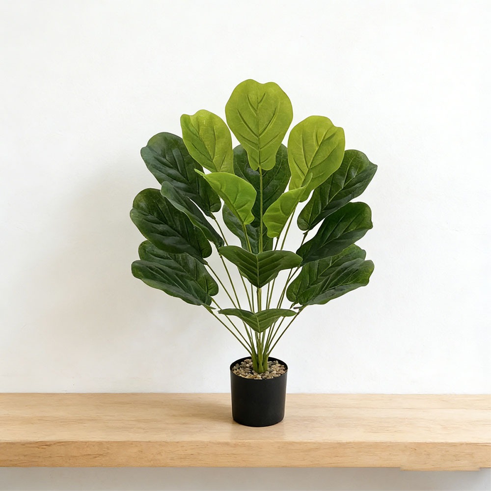 1pc of 75cm Artificial Ficus L - Ficus Lyrata Tree บทวิจารณ์และราคา