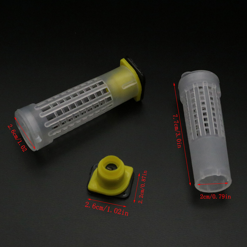 1 Set Bees Tools Cages King Qu - Begonia Rex บทวิจารณ์และราคา