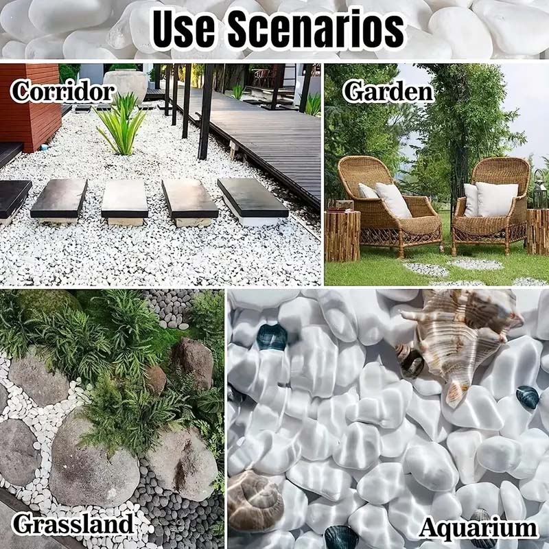 White Pebbles Decorative Stone - Echeveria Succulent บทวิจารณ์และราคา
