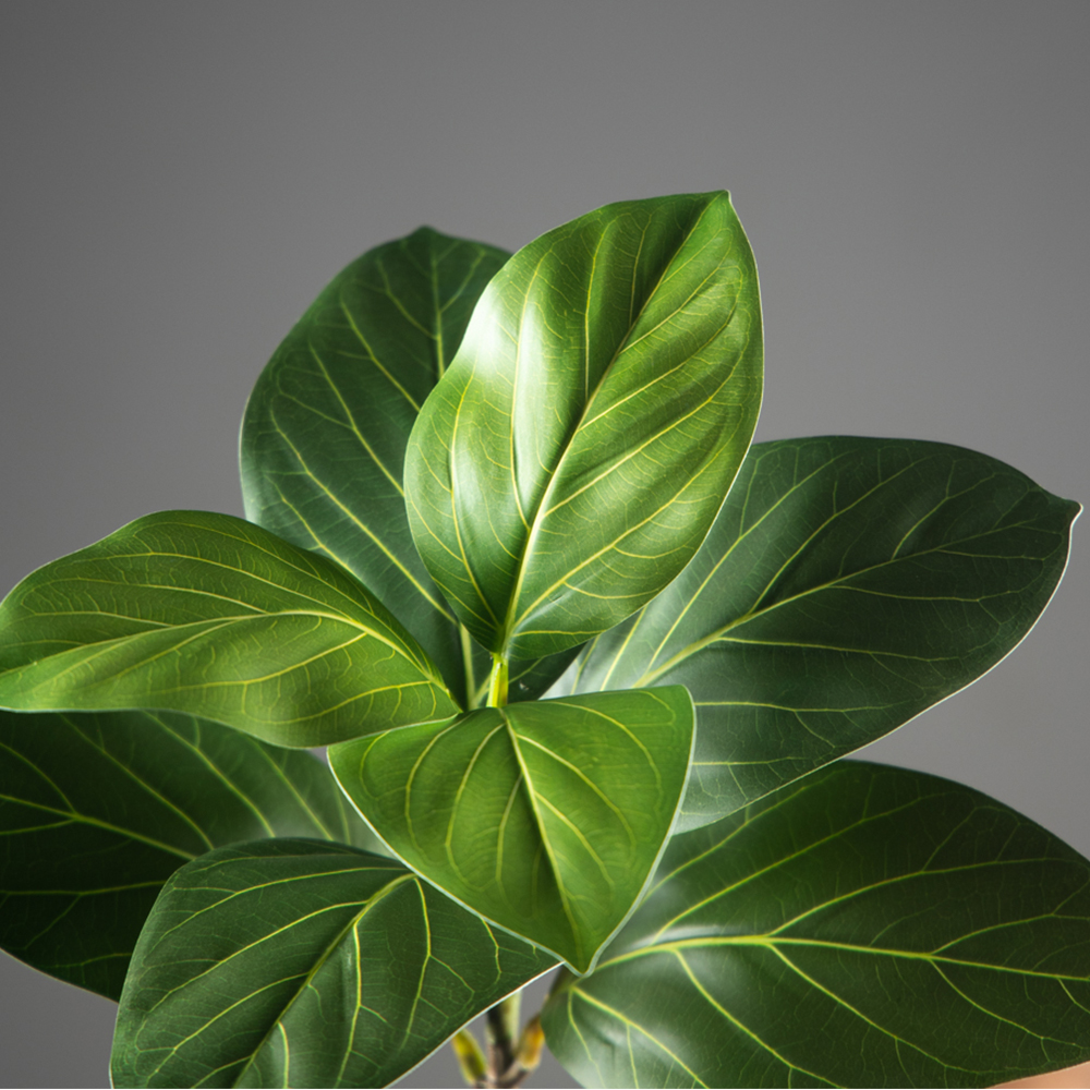 70-130cm Large Artificial Bany - Ficus Lyrata Tree บทวิจารณ์และราคา