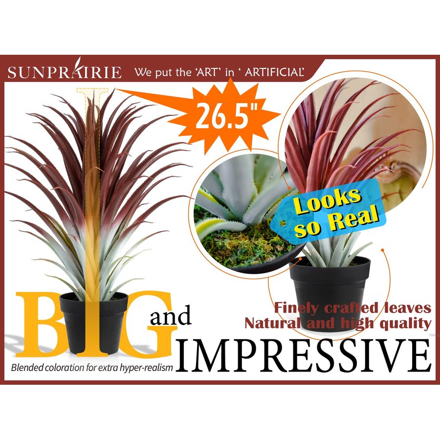 Hyper Realistic Big Red Artifi - Aloe Vera Pot บทวิจารณ์และราคา