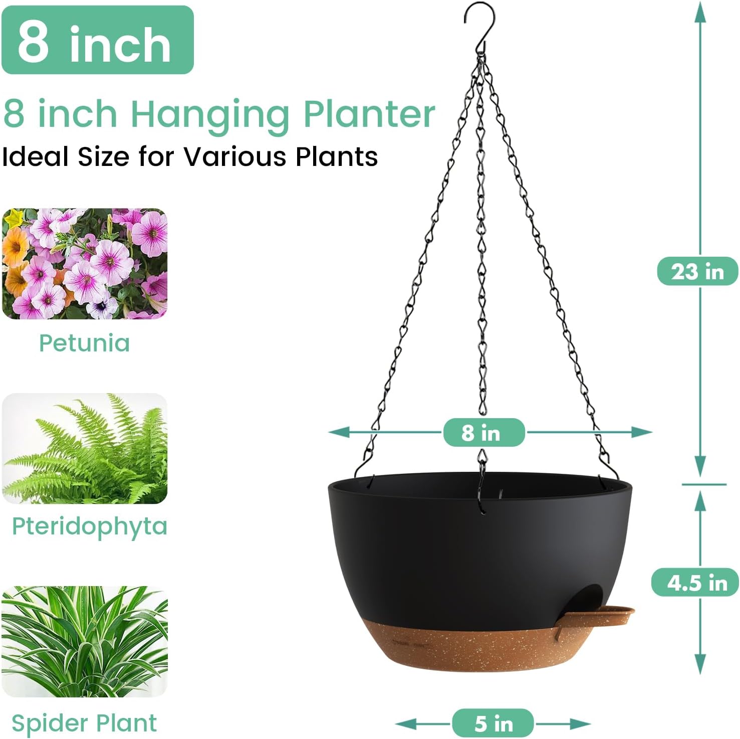 Self Watering Hanging Planters - Spider Plant Hanging บทวิจารณ์และราคา