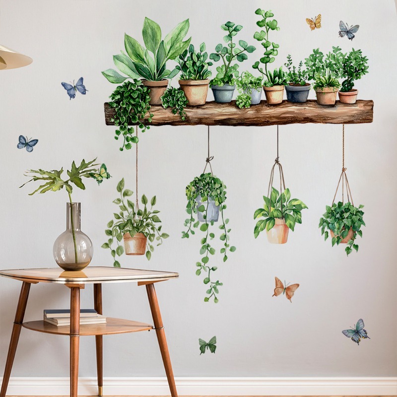 3D Potted Green Plant Shelf Wa - Echeveria Succulent บทวิจารณ์และราคา