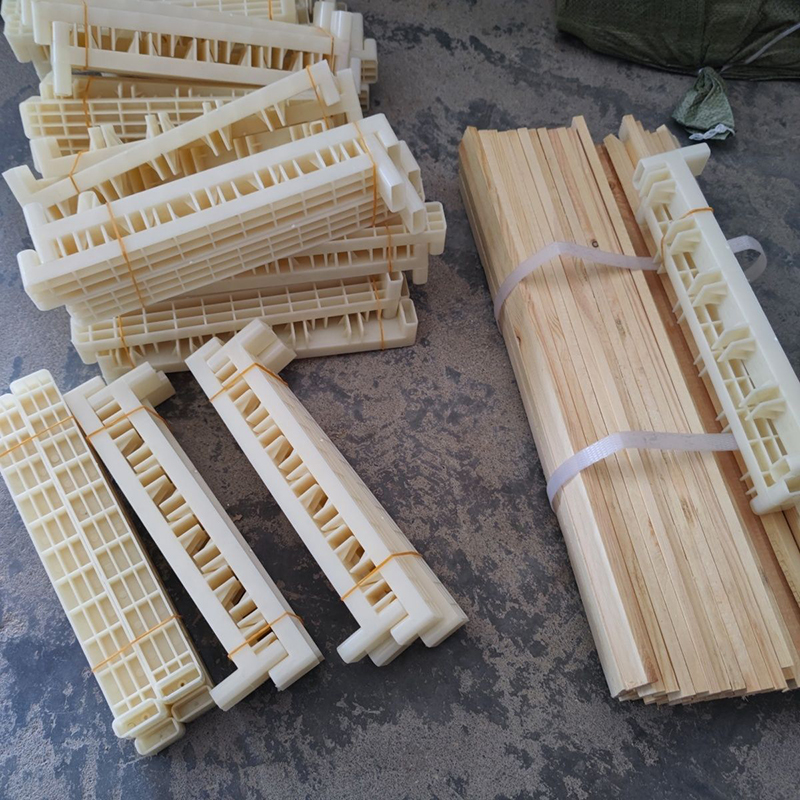 Bee Breeding Frames Plastic Ch - Begonia Rex บทวิจารณ์และราคา
