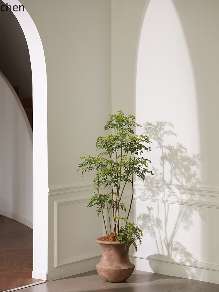 LYY  Floor Vase Green Plant Ar - Ficus Lyrata Tree บทวิจารณ์และราคา