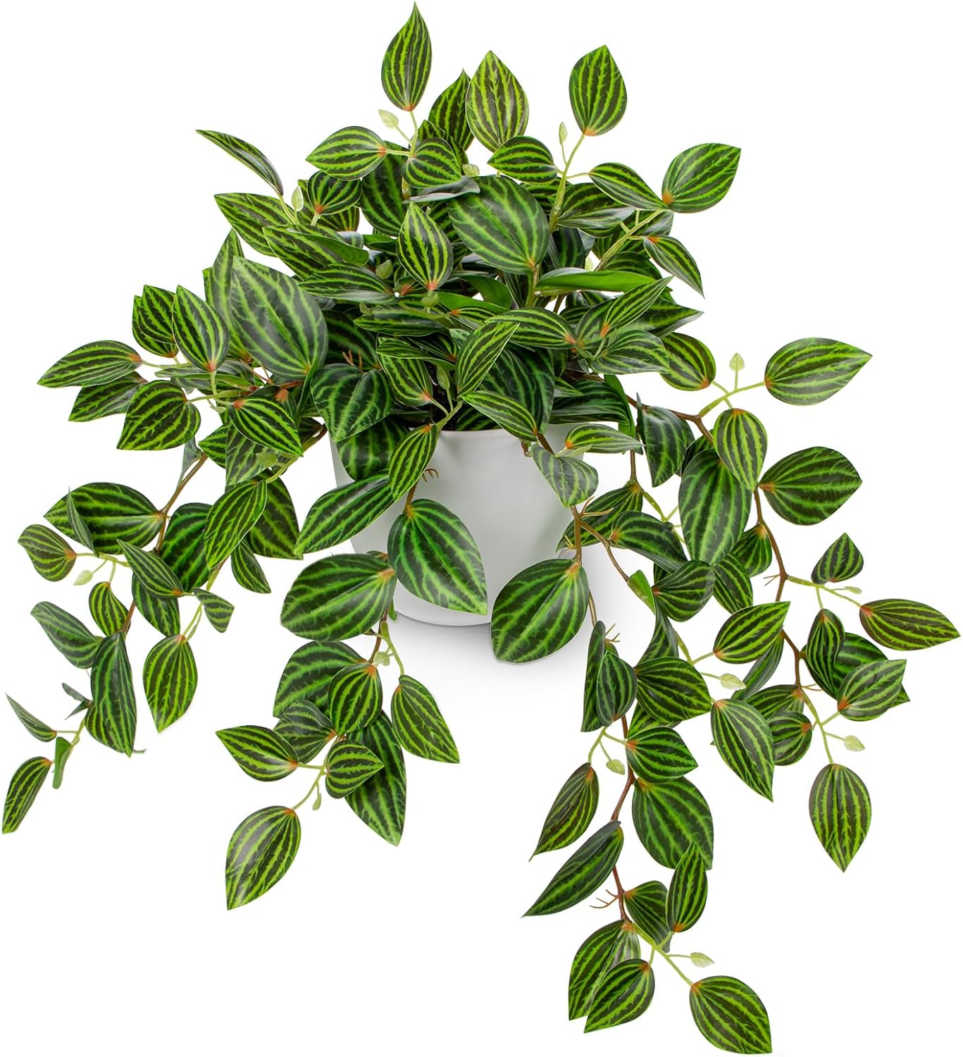 Artificial Plants Indoor Fake  - Peperomia Watermelon บทวิจารณ์และราคา