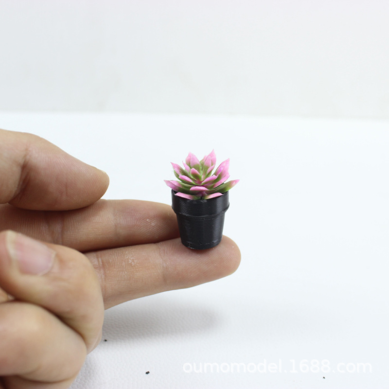 Mini Simulated Plants Cactus S - Echeveria Succulent บทวิจารณ์และราคา