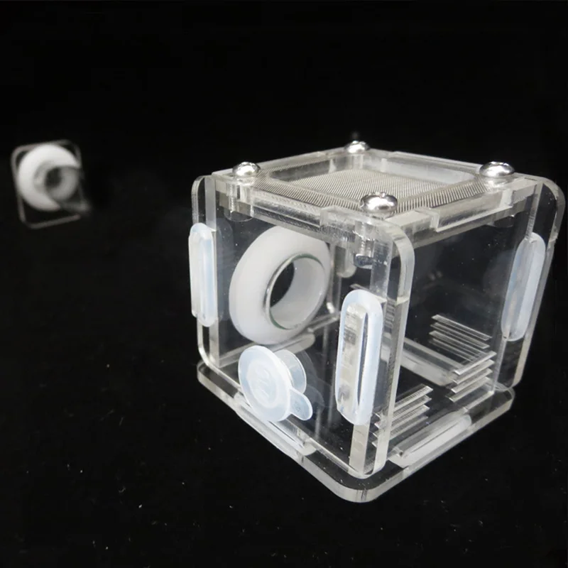 DIY Various Size Ant Farm Bamb - Begonia Rex บทวิจารณ์และราคา