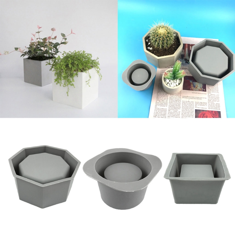 Handmade Succulent Planter Flo - Echeveria Succulent บทวิจารณ์และราคา