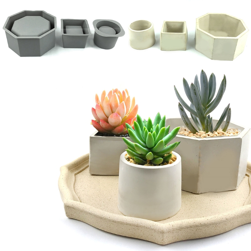 Handmade Succulent Planter Flo - Echeveria Succulent บทวิจารณ์และราคา