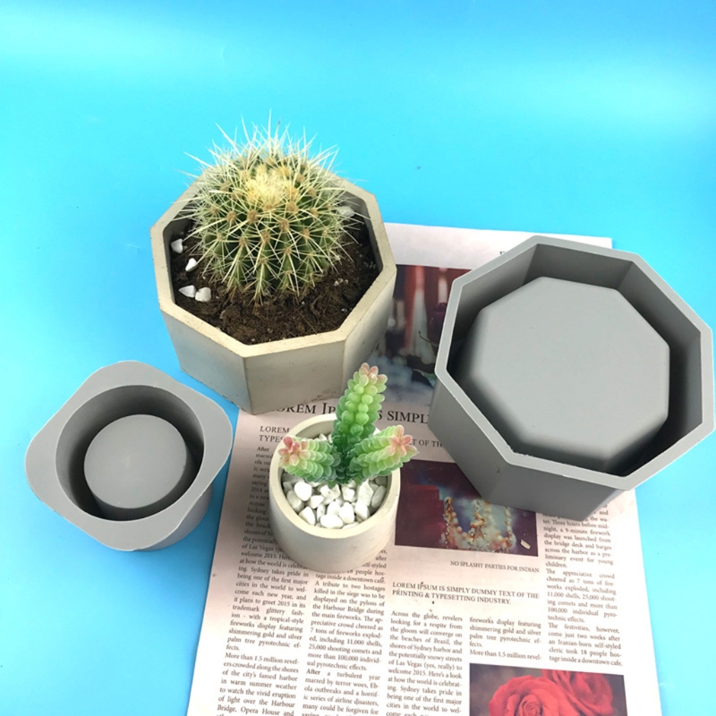 Handmade Succulent Planter Flo - Echeveria Succulent บทวิจารณ์และราคา