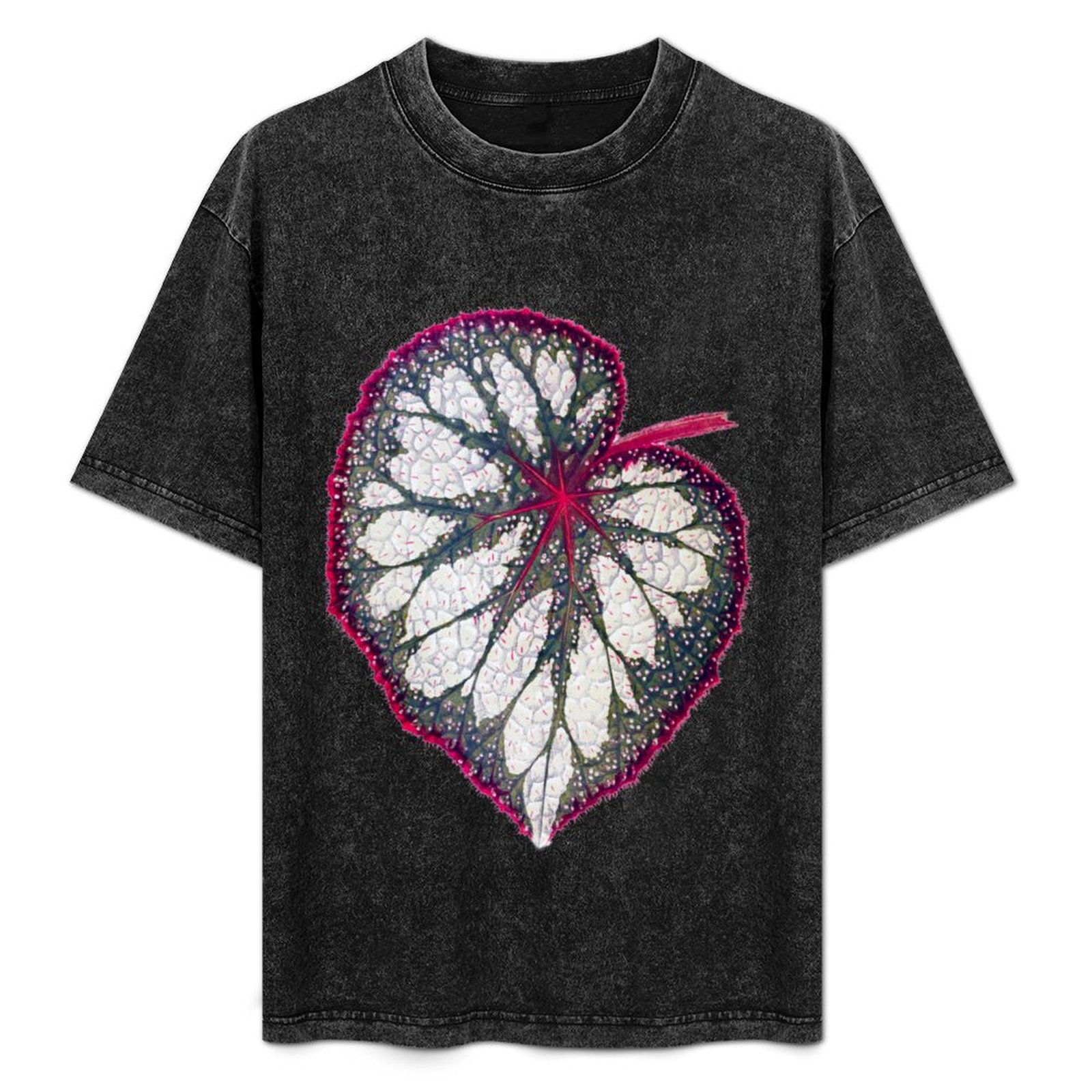 Begonia rex T-Shirt Holiday Si - Begonia Rex บทวิจารณ์และราคา