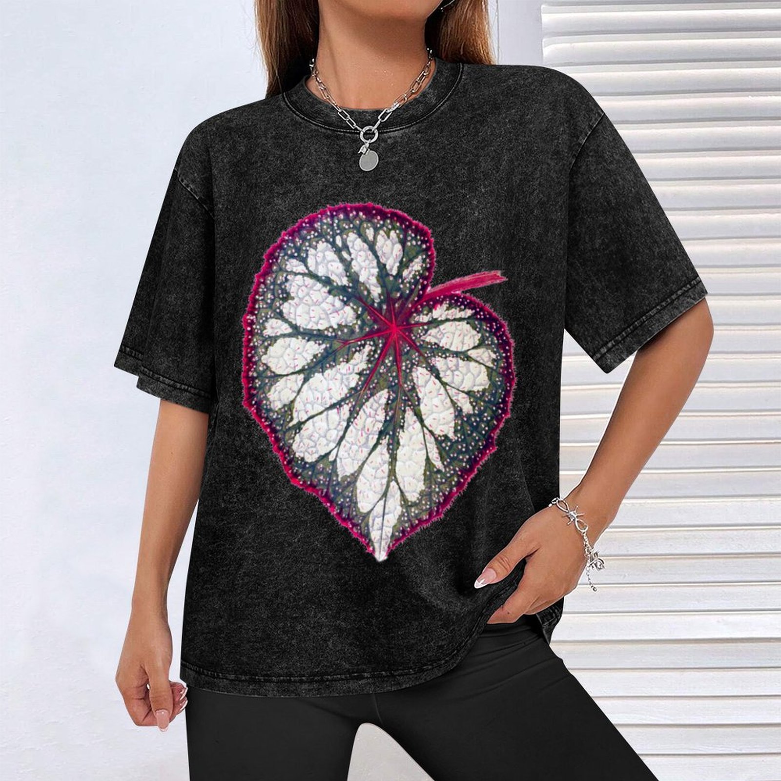 Begonia rex T-Shirt Holiday Si - Begonia Rex บทวิจารณ์และราคา