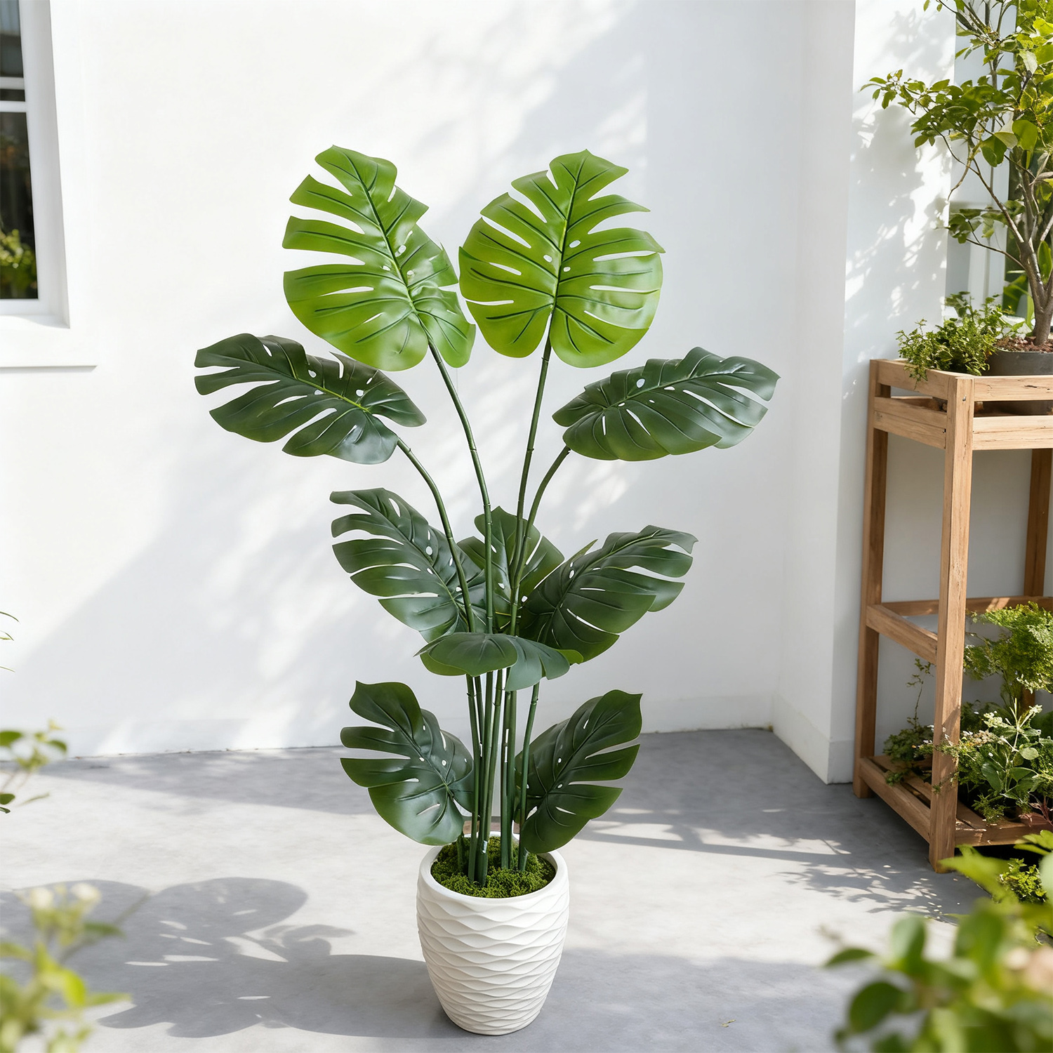 140Cm/4.6Ft Artificial Monster - Dracaena Marginata บทวิจารณ์และราคา