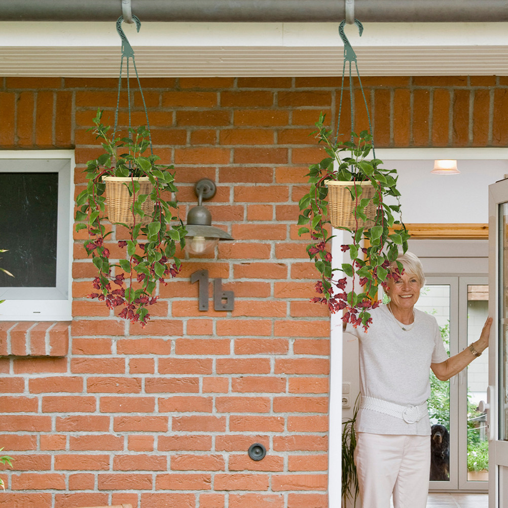 5Pcs Heavy Duty Hanging Basket - Spider Plant Hanging บทวิจารณ์และราคา