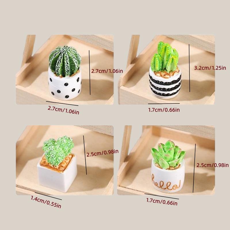 4-Piece Set of Cactus Succulen - Echeveria Succulent บทวิจารณ์และราคา
