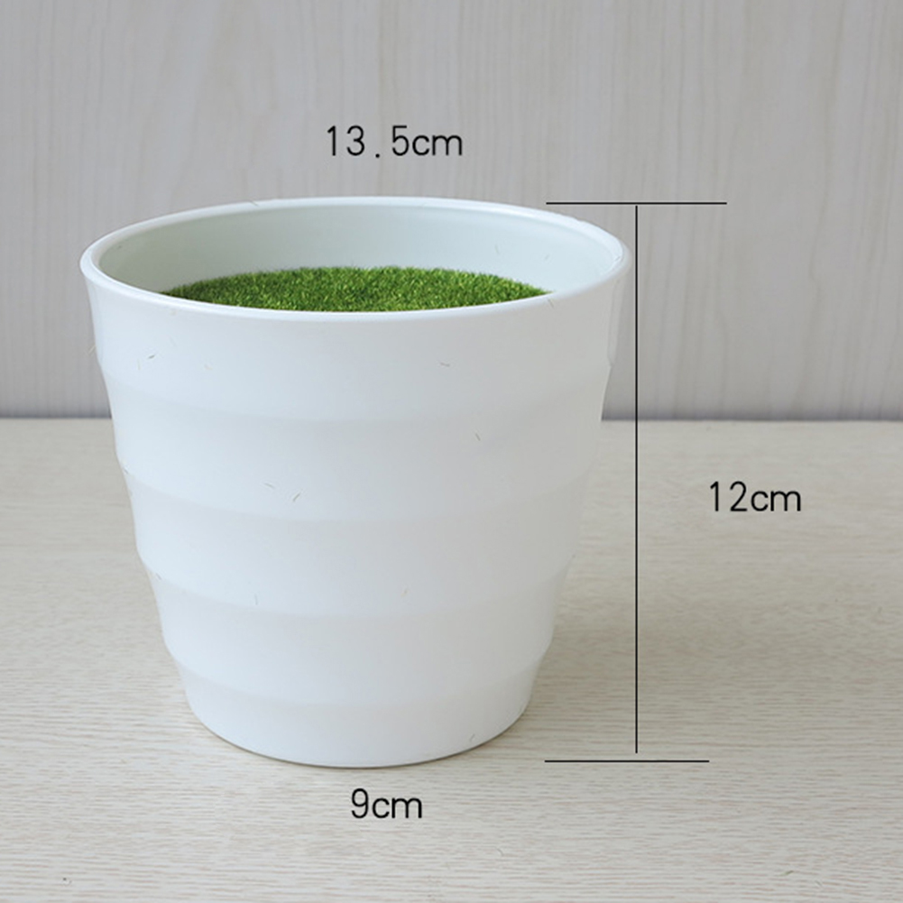 Artificial Pot Plants Pot Nurs - Aloe Vera Pot บทวิจารณ์และราคา