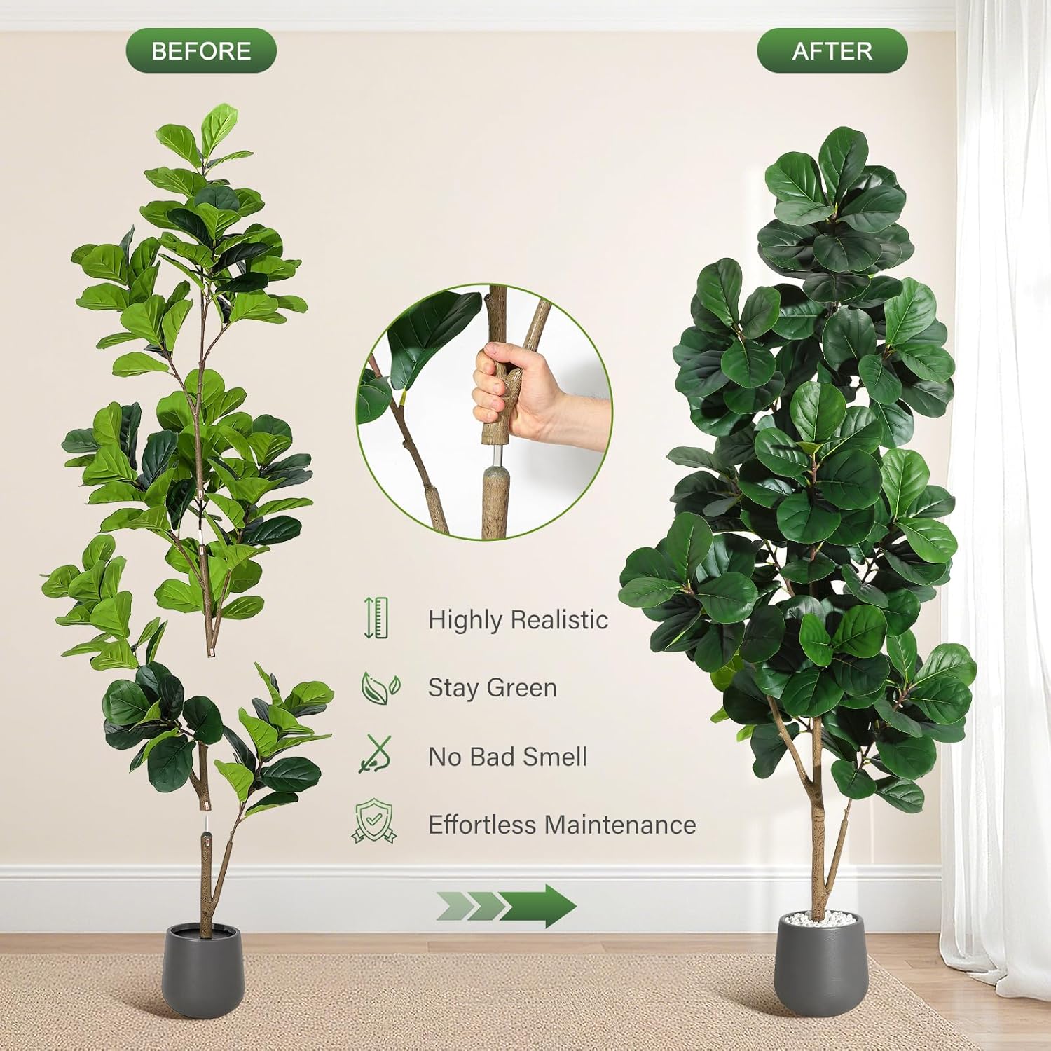 4FT/5FT/6FT/7FT Fiddle Leaf Fi - Ficus Lyrata Tree บทวิจารณ์และราคา