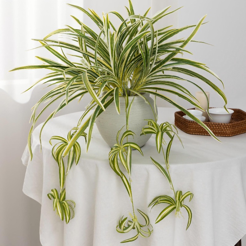 Artificial Spider Plant Chloro - Spider Plant Hanging บทวิจารณ์และราคา